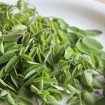 When Nature is Committed to Making Us Feel Good Moringa oleifera